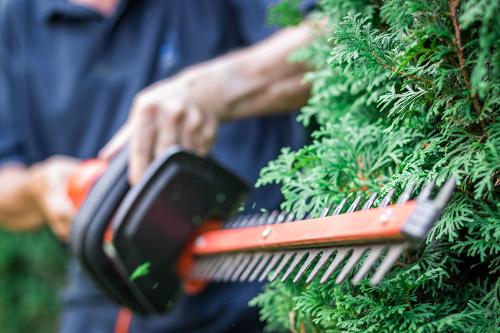 Gardeners In Surrey hedge trimmer